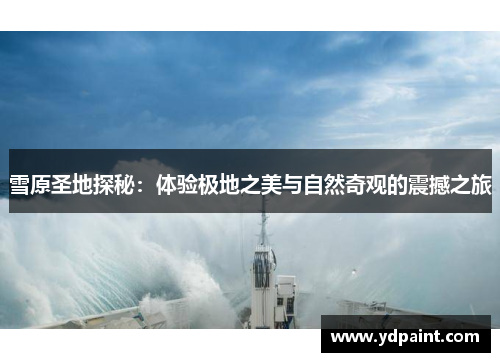 雪原圣地探秘：体验极地之美与自然奇观的震撼之旅