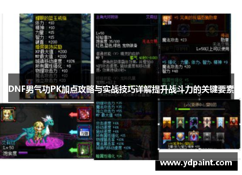 DNF男气功PK加点攻略与实战技巧详解提升战斗力的关键要素